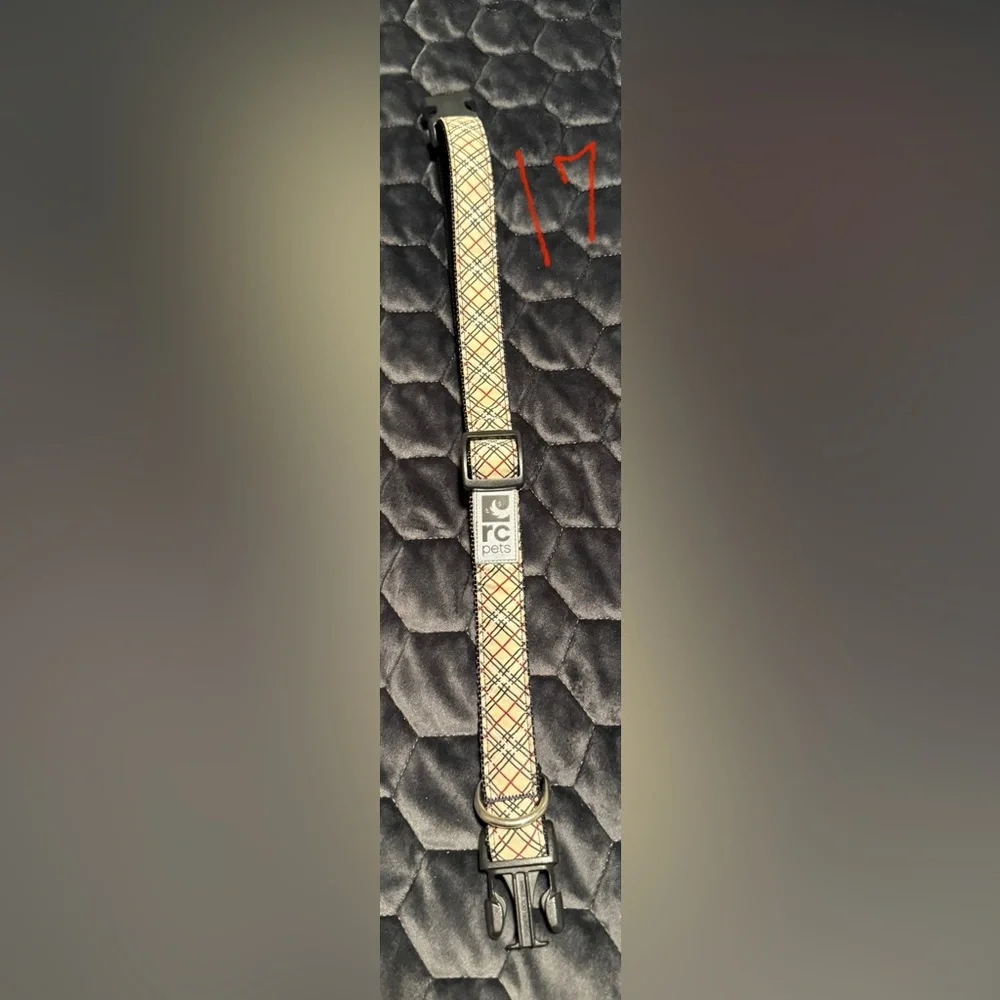 Dog Collar - Adjustable from 17” to 25”